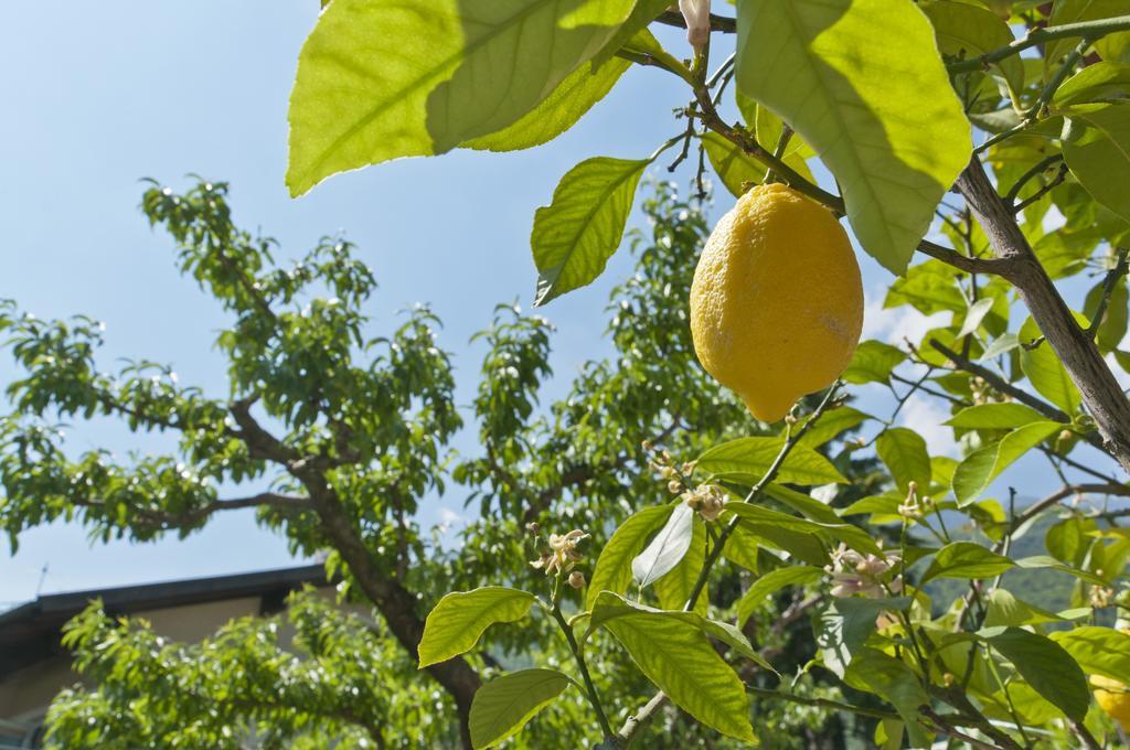 Ferienwohnungen Atz Termeno Exteriér fotografie